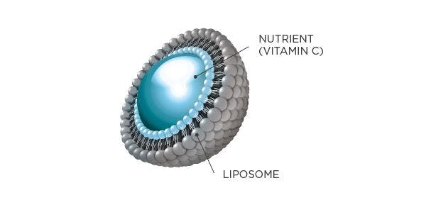 Querschnitt eines liposoms