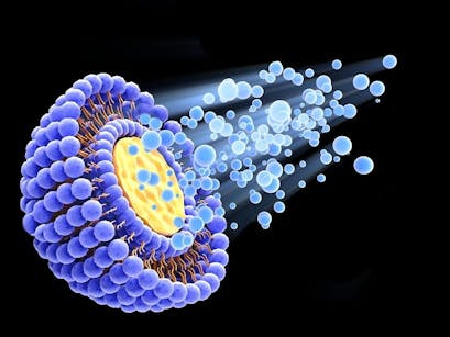 Liposomi di Qualità e Salute Cellulare: il segreto nei Fosfolipidi di Membrana