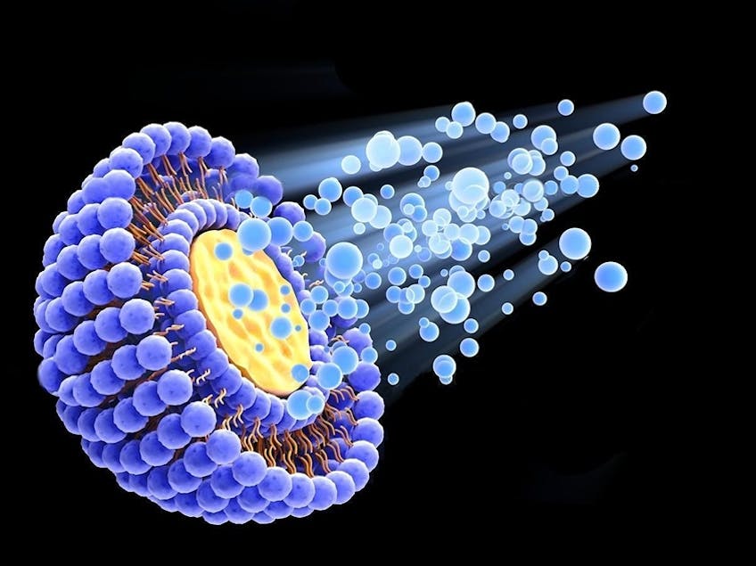 Liposomi di Qualità e Salute Cellulare: il segreto nei Fosfolipidi di Membrana